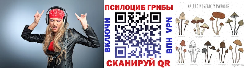 Купить закладки  Феодосия  Псилоцибиновые грибы GOLDEN TEACHER 